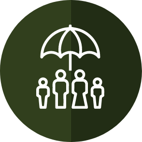 Life insurance program Icon